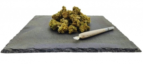 Amnesia Haze CBD Váha: 1g