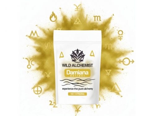 Extrakt z damiany 10:1 – 25 g